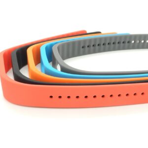 Smart Wearable